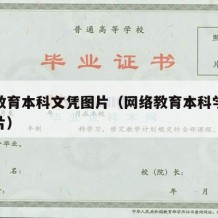 网络教育本科文凭图片（网络教育本科学历证书图片）