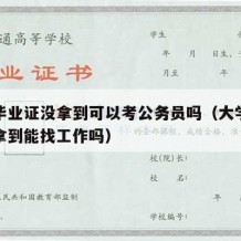 大学毕业证没拿到可以考公务员吗（大学毕业证没拿到能找工作吗）