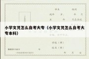 小学文凭怎么自考大专（小学文凭怎么自考大专本科）