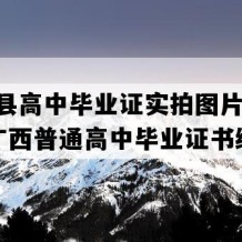 资源县高中毕业证实拍图片(2012年广西普通高中毕业证书编号）