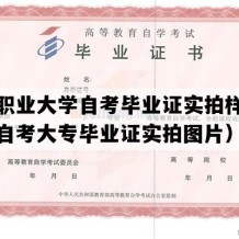 鄂州职业大学自考毕业证实拍样本（湖北自考大专毕业证实拍图片）