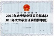 2019年大专毕业证实拍样本(2019年大专毕业证实拍样本图)