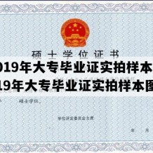 2019年大专毕业证实拍样本(2019年大专毕业证实拍样本图)