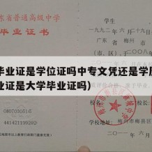 中专毕业证是学位证吗中专文凭还是学历（中专毕业证是大学毕业证吗）