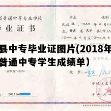 环县中专毕业证图片(2018年甘肃普通中专学生成绩单）