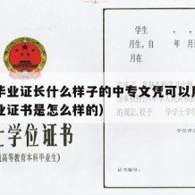 中专毕业证长什么样子的中专文凭可以用（中专毕业证书是怎么样的）