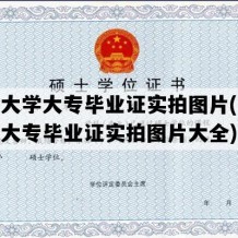 开放大学大专毕业证实拍图片(开放大学大专毕业证实拍图片大全)