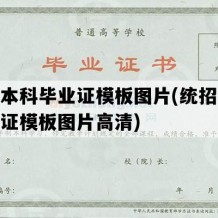 统招本科毕业证模板图片(统招本科毕业证模板图片高清)