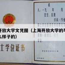 上海开放大学文凭图（上海开放大学的毕业证是什么样子的）