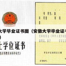 安徽大学毕业证书图（安徽大学毕业证书图片2021）