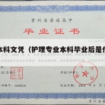 护理本科文凭（护理专业本科毕业后是什么学位）