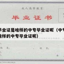 中专毕业证是啥样的中专毕业证呢（中专毕业证是啥样的中专毕业证呢）