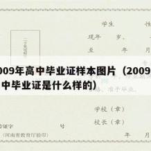 2009年高中毕业证样本图片（2009年高中毕业证是什么样的）