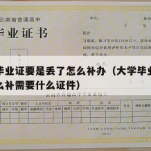 大学毕业证要是丢了怎么补办（大学毕业证丢了怎么补需要什么证件）