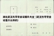 湖北武汉大学毕业证图片大全（武汉大学毕业证是什么样的）