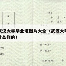 湖北武汉大学毕业证图片大全（武汉大学毕业证是什么样的）