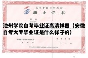 池州学院自考毕业证高清样图（安徽自考大专毕业证是什么样子的）