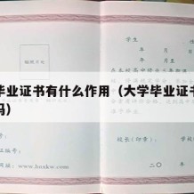 大学毕业证书有什么作用（大学毕业证书有什么用吗）