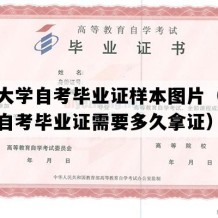 西北大学自考毕业证样本图片（陕西成人自考毕业证需要多久拿证）