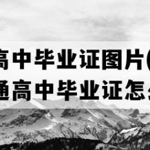 安顺市高中毕业证图片(2005年贵州普通高中毕业证怎么购买）