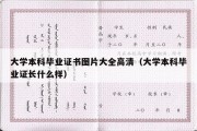 大学本科毕业证书图片大全高清（大学本科毕业证长什么样）