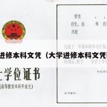 大学进修本科文凭（大学进修本科文凭要求）