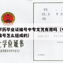 中专学历毕业证编号中专文凭有用吗（中专毕业证编号怎么组成的）