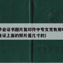 中专毕业证书图片复印件中专文凭有用吗（中专毕业证上面的照片是几寸的）