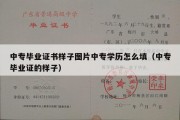 中专毕业证书样子图片中专学历怎么填（中专毕业证的样子）