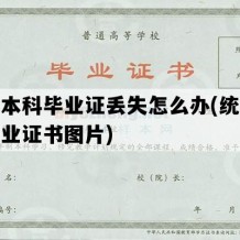 统招本科毕业证丢失怎么办(统招本科毕业证书图片)