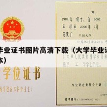 大学毕业证书图片高清下载（大学毕业证书图片样本）