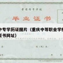 重庆中专学历证图片（重庆中等职业学校学生学历证书网址）