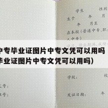 云南中专毕业证图片中专文凭可以用吗（云南中专毕业证图片中专文凭可以用吗）