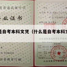 什么是自考本科文凭（什么是自考本科文凭学位）