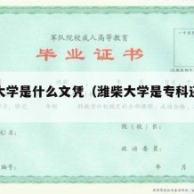 潍柴大学是什么文凭（潍柴大学是专科还是本科）