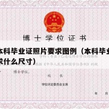 大学本科毕业证照片要求图例（本科毕业证照片要求什么尺寸）