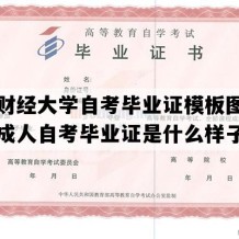 西南财经大学自考毕业证模板图片（四川成人自考毕业证是什么样子的）