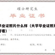 大学毕业证照片什么样（大学毕业证照片什么样的好看）