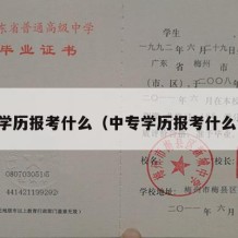 中专学历报考什么（中专学历报考什么专业）