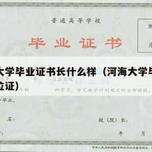 河海大学毕业证书长什么样（河海大学毕业证和学位证）