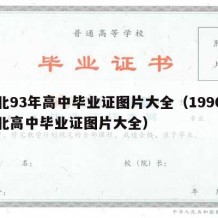 河北93年高中毕业证图片大全（1990年河北高中毕业证图片大全）