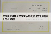 中专毕业证样子中专学历怎么写（中专毕业证上怎么写的）