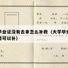 大学毕业证没有去拿怎么补救（大学毕业证掉了哪里可以补）