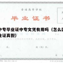 辨别中专毕业证中专文凭有用吗（怎么区分中专毕业证真假）