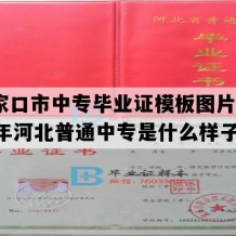 张家口市中专毕业证模板图片(1993年河北普通中专是什么样子的）