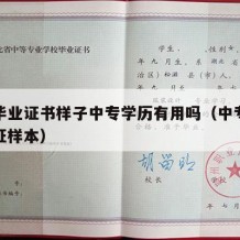 中专毕业证书样子中专学历有用吗（中专学历毕业证样本）