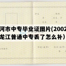 讷河市中专毕业证图片(2002年黑龙江普通中专丢了怎么补）