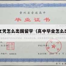 高中文凭怎么出国留学（高中毕业怎么出国留学）