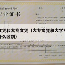 大学文凭和大专文凭（大专文凭和大学专科文凭有什么区别）