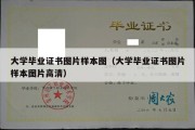 大学毕业证书图片样本图（大学毕业证书图片样本图片高清）